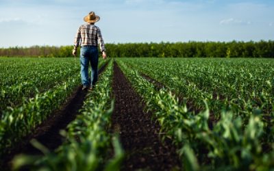 Agriculture et aides diverses : fixation des montants pour 2024