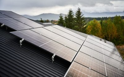 Végétalisation et solarisation des toitures des ICPE : des cas particuliers…