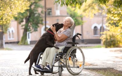 EHPAD et animaux de compagnie des résidents : les conditions sont connues !