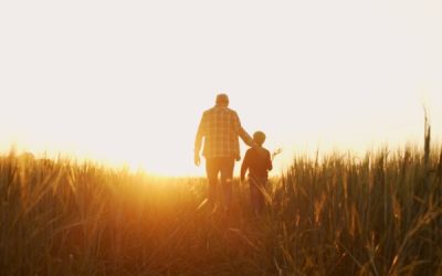 Pension d’orphelin : aussi pour les enfants d’agriculteurs !