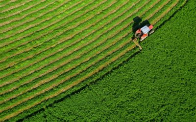 Souveraineté alimentaire : du nouveau ?