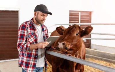 Agriculture : point sur la situation