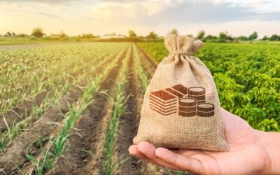 Jeunes agriculteurs : du nouveau du côté des exonérations sociales !