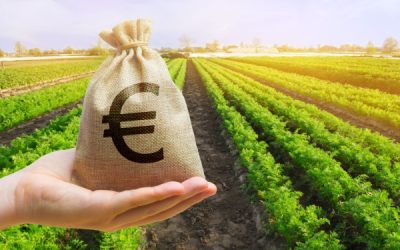 Agriculture : précisions sur les aides écorégime