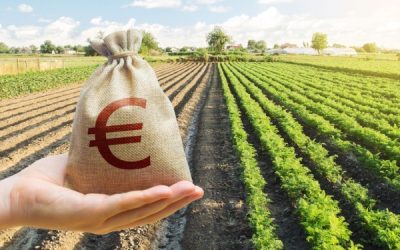 Aides à l’installation des jeunes agriculteurs : précisions sur les sanctions