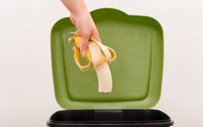 Label anti-gaspillage alimentaire : place à la nouvelle version !