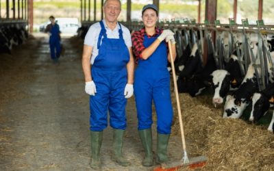Conventions de stage en milieu agricole : les modèles sont disponibles !