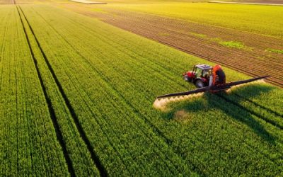 Autorisations de mise sur le marché des produits phytopharmaceutiques : quelques nouveautés
