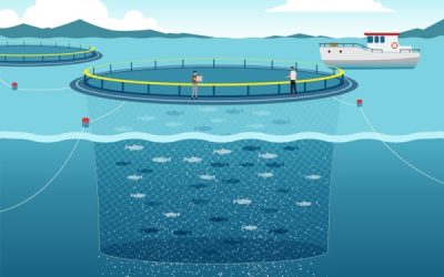Pisciculture marine et concession d’exploitation : des critères à connaître