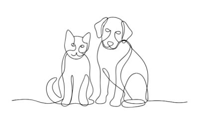 Activités liées aux animaux de compagnie : une réglementation partiellement décalée…