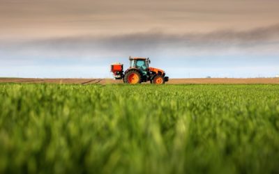 FranceAgriMer et organisations de producteurs : des sanctions possibles ?