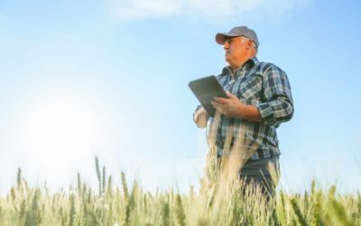 Retraite agricole : le point RCO revalorisé en 2025