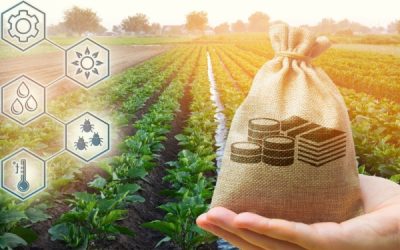 Agriculture à Saint-Pierre-et-Miquelon : une aide à l’installation possible